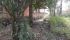 WhatsApp Image 2025-03-11 at 16.17.50.jpeg